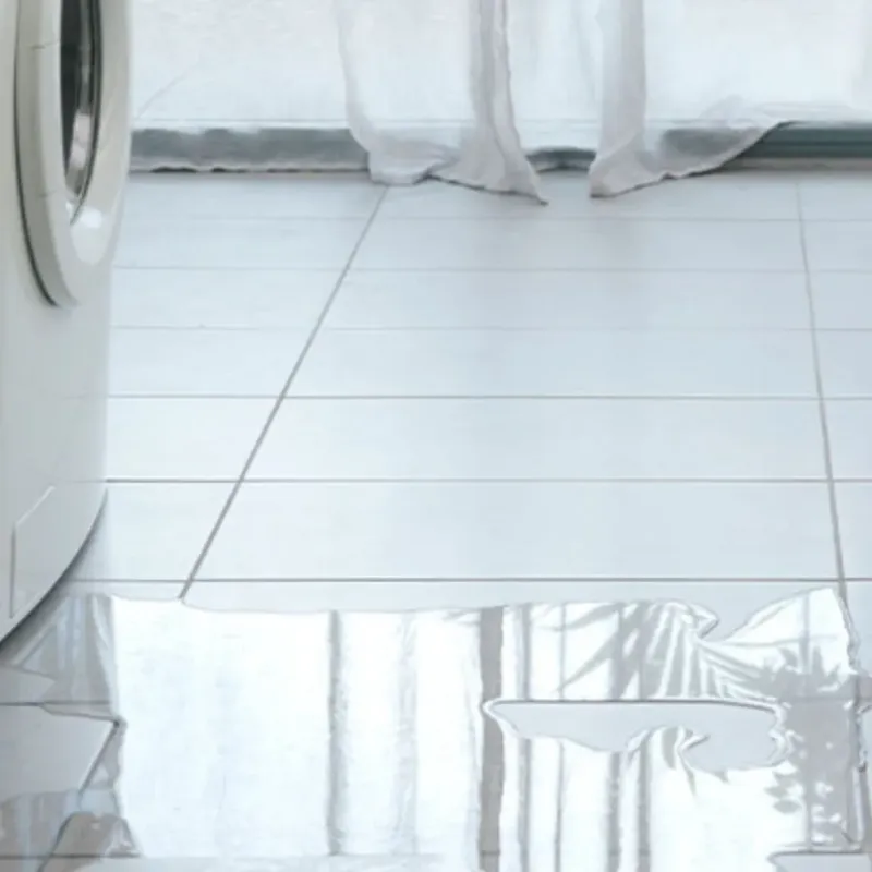 Appliance Leak Cleanup in Sundown, TX