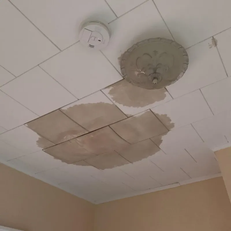 Ceiling Water Damage Repair in Sundown, TX