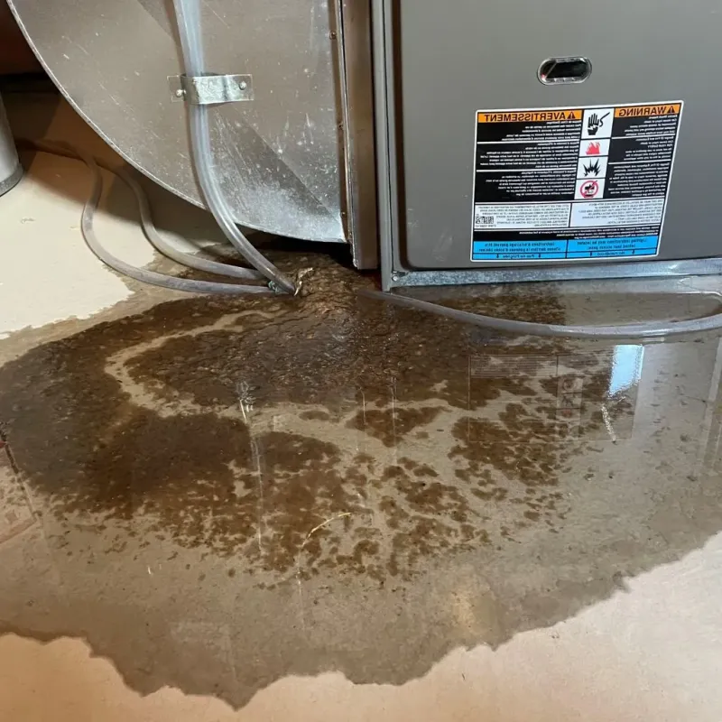 Pipe Burst and Leak Restoration in Sundown, TX