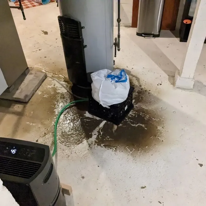 Sewage Backup Cleanup Service in Sundown, TX